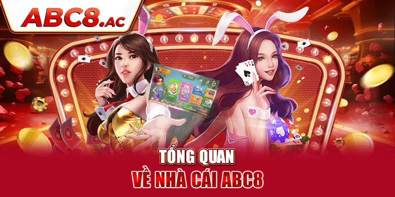 tong-quan-ve-nha-cai-abc8