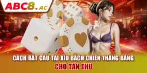 cach-bat-cau-tai-xiu-bach-chien-thang-bang-cho-tan-thu